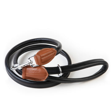 Dog Lead Sarah Jessica Barker
